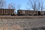 NS 10165